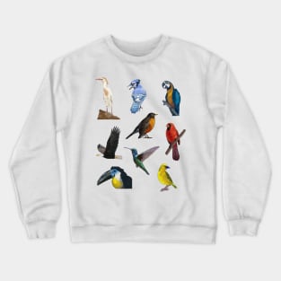 Nine Bird Illustration Pack Crewneck Sweatshirt